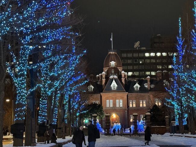 ここのイルミはいい感じです。