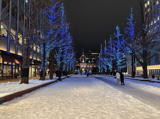 雪の回廊といったところでしょうか。<br />イチョウ並木です。