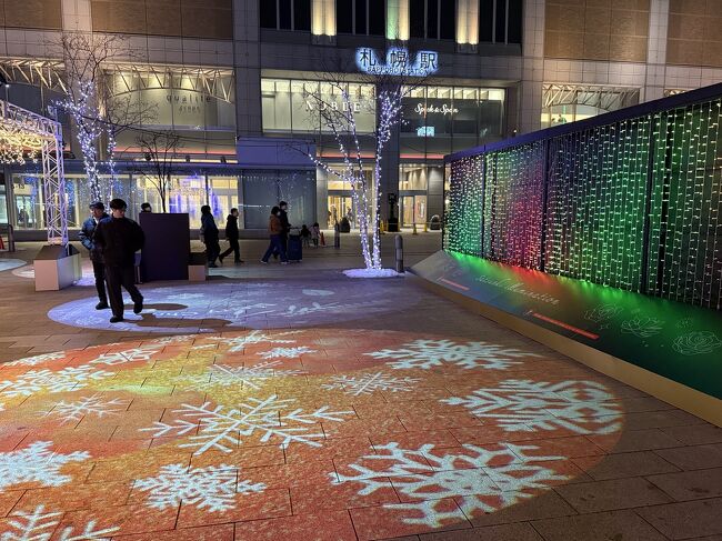 実は初めてのイルミ見物です。<br />なかなかここまで来ないですね。<br />スノーフレークが動いています。