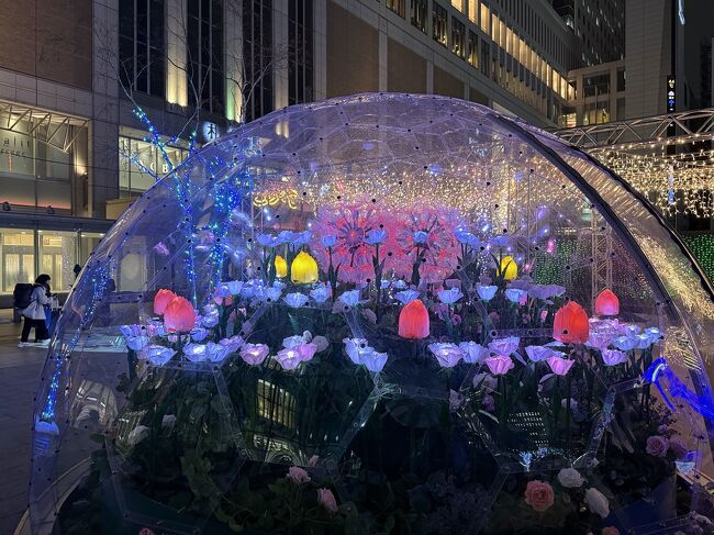 イルミも点灯しています。