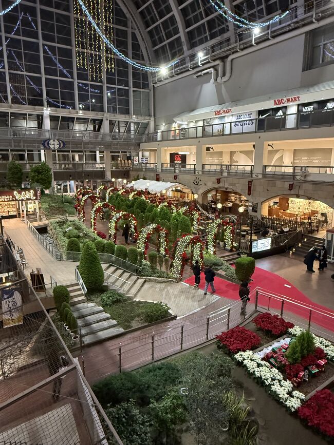 ドーム型の屋根があって、<br />ここは地下2階です。<br />掘り下げたのはエスコンフィールドや西武球場に似た考えでしょうか。