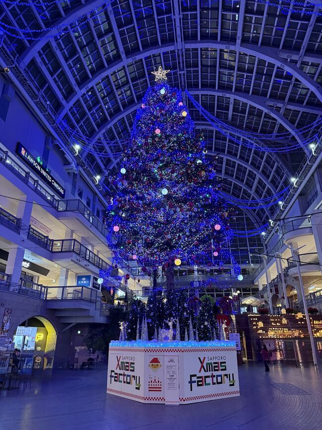 広尾町から寄贈された約15ｍものトドマツだそうです。