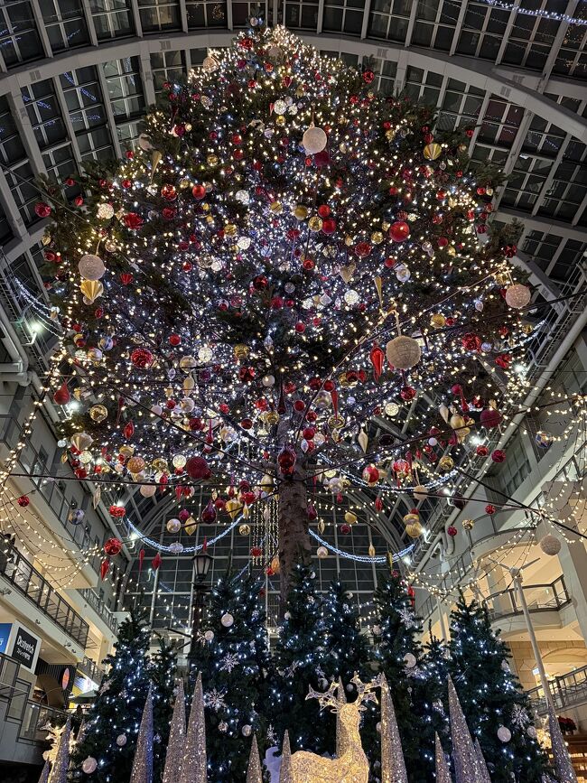 もちろん色も変わります。