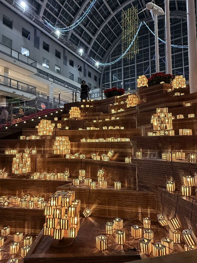 このゴールドカラーも映えます。