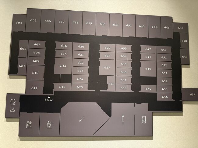 部屋の間取りです。<br />このあと翌日始発を目標に行動しようと、<br />11時に寝たのですが、<br />向かいの並びのインバウンドが午前2時から1時間くらい荷物整理をずっとしていて、<br />まったく音を抑える気遣いもないくらいの雑音まき散らしでした。<br />カプセルでもでかいいびきや歯ぎしりの人がいたことはありましたが、<br />荷物整理での雑音が1時間も続いたのは初めてです。<br />おかげで3時くらいまでうとうとと浅い眠りでした。<br />この睡眠不足が明日の不調につながるのです。