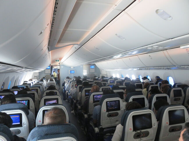 機内食も終え、まったりタイム