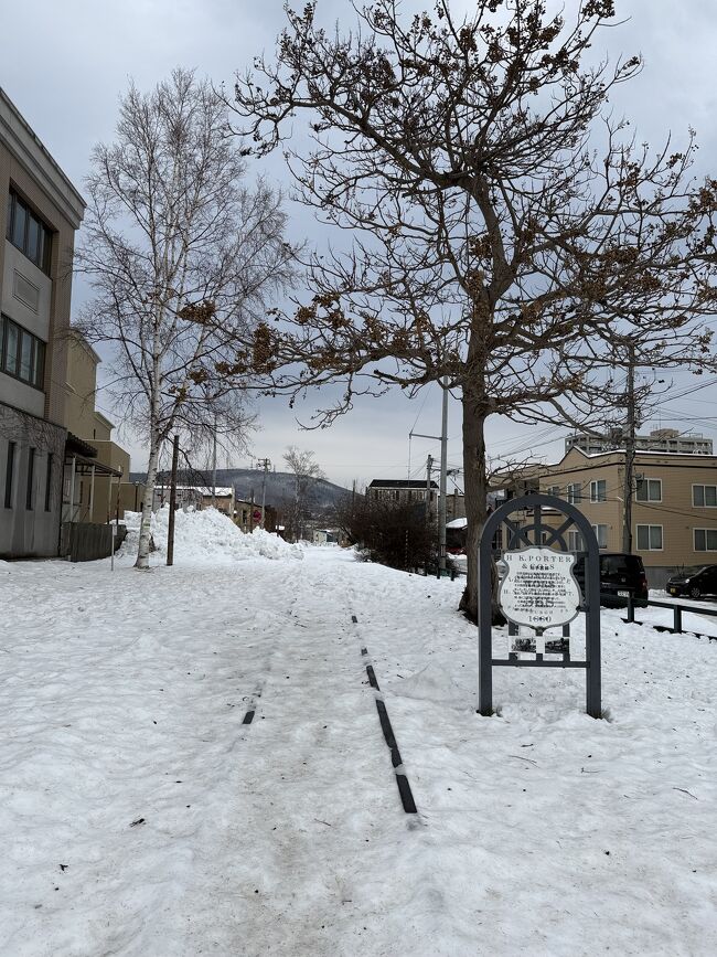 運河方向に向かう途中です。<br />歩道は完全な氷です。<br />ゆっくり注意を払って歩きます。