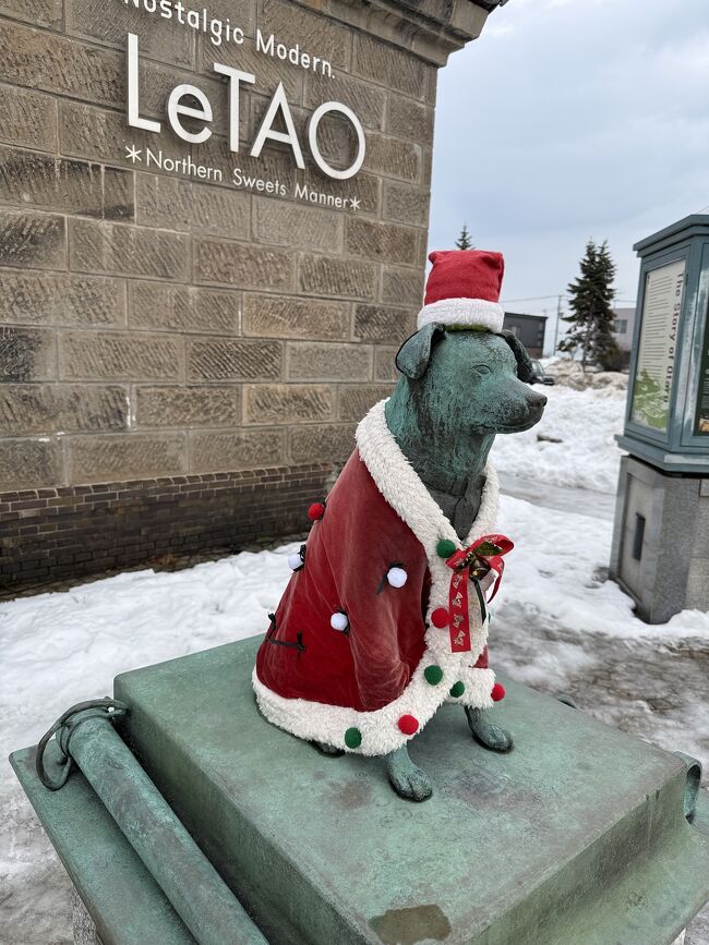 ぶん公もサンタ仕様です。