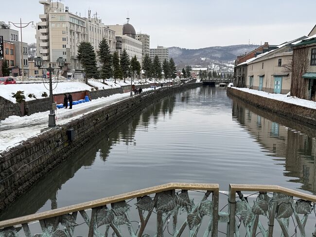 ここの広場で転倒しました。<br />段差がスロープでジャンプ台仕様になっていて、<br />とても危険でした。