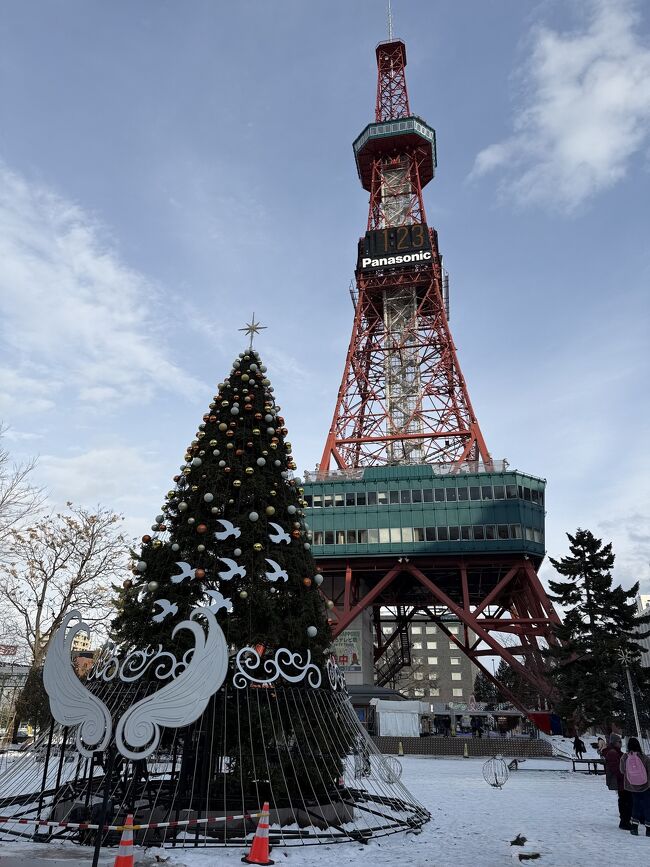 このカッコウが飛ぶツリーは昨日撮影し損ないました。<br />これで大通り公園のイルミは全部見ました。<br />いつもなら時間調整で1時間くらい北海道大学構内を散策するのですが、<br />この氷の道路の危険と昨夜からの寝不足で体調がすぐれません。<br />札幌から快速エアポートで早めに空港に向かいます。