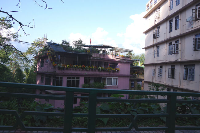 建物の周りにゆとりがないので、ベランダや屋上が庭園になっています。<br />