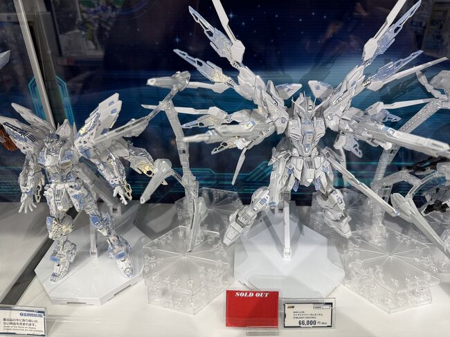 実物が見られただけでも幸運です。