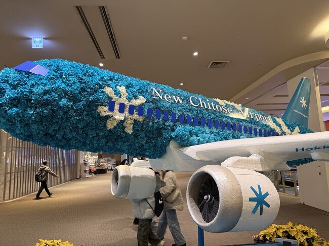 生花のボールがあったところは、<br />飛行機になっています。<br />花のおかげなのか、とても人気があるようで、<br />映えるそうです。