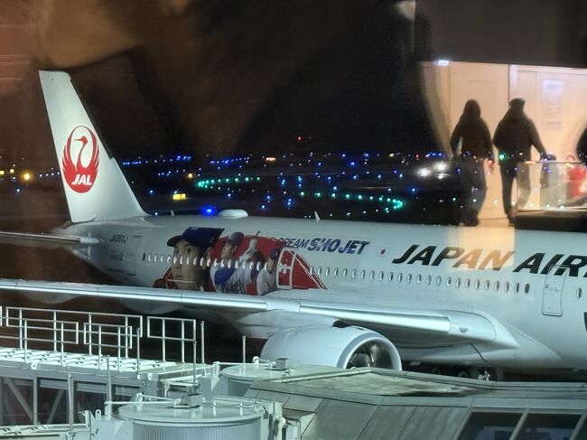 本日は新千歳便担当の大谷ジェットです。<br />この日は2往復でした。<br />今日ならもう一度乗れたので残念です。<br />1回でしたが、それも奥さんとサザンライブに向かう時に乗れたのは幸運でした。<br />2024年9月29日から就航してきましたが、<br />いよいよ2026年3月までの特別塗装となるようです。<br />359に乗りたい方はお早目がおすすめです。