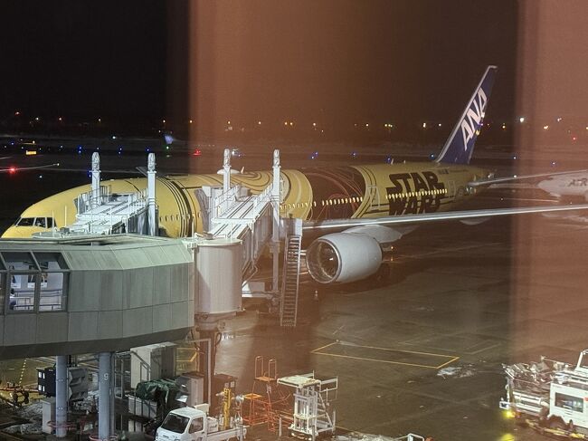 暗闇の中ＳＷジェットがあります。<br />Ｃ－３ＰＯ　ＡＮＡ　ＪＥＴといいます。<br />2026年1月9日を持って特別塗装での運航が終了です。<br />1月10日には羽田空港でファイナルイベントがあるそうです。<br />相棒のＲ２Ｄ２は８月に終了していますね。<br />ボーイング777で愛称はたくあんです。<br />2017年以来長いこと活躍していました。<br />最後に見られてよかったです。<br />お疲れさまでした。