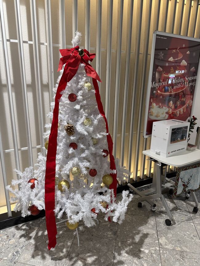 あちこちにクリスマスツリーがありましたが、<br />意外とホワイトツリーはありませんでした。