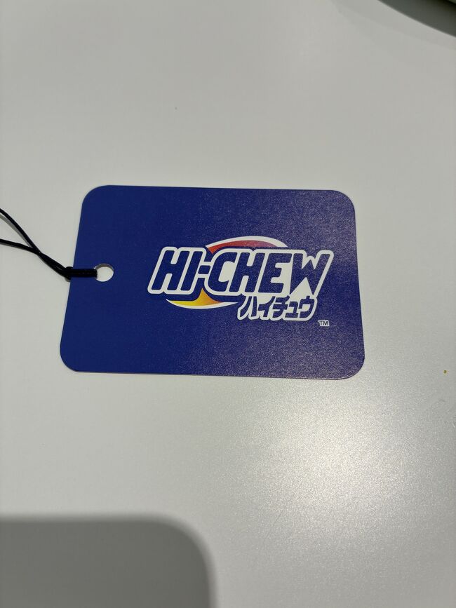 グループ分けの為、配布されたもの。<br />２グループに分かれて見学。