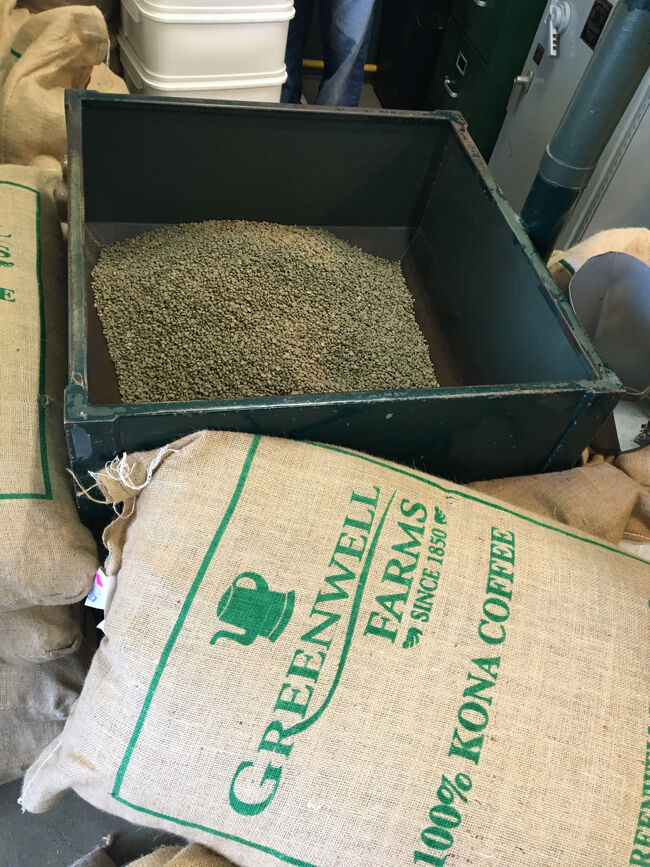 焙煎前のコーヒー豆