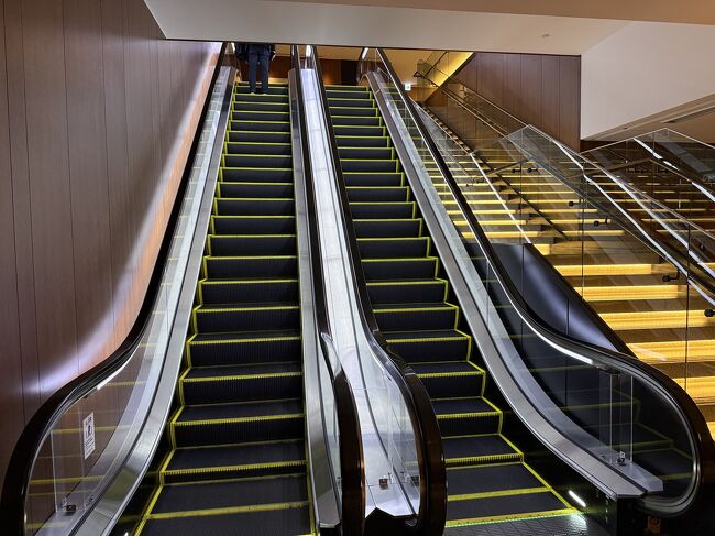 帰りも利用するエスカレータです。<br />エレベータもあるようです。