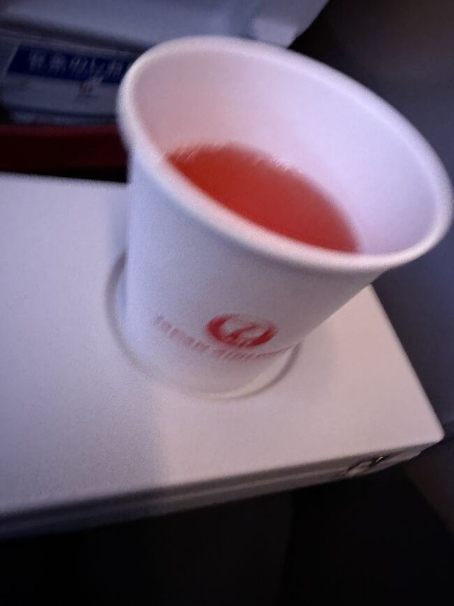 復活したスカイタイムです。