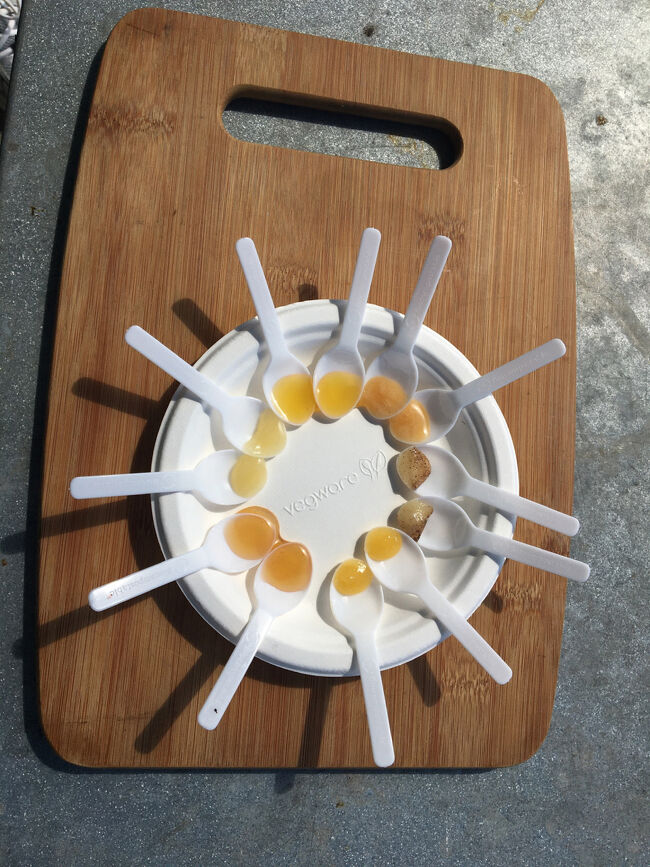 ハチミツの試食<br />６種類の食べ比べ