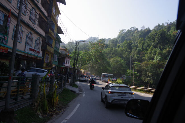 道幅が広くなり、植物が近くなりました。だいぶ下に降りたようです。この先に橋があって、川を渡ります。そうするとまた別の山を上るのです。