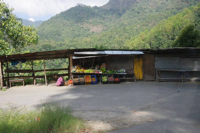 カーブの端に野菜を売る店がありました。すごく新鮮な気がします。<br />