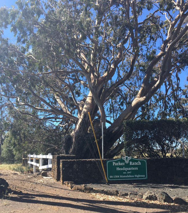 パーカーランチの入り口