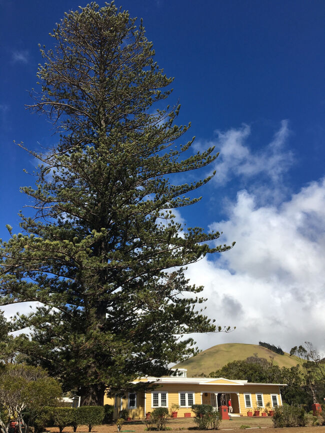 美しい邸宅と歴史を感じる住居等があります