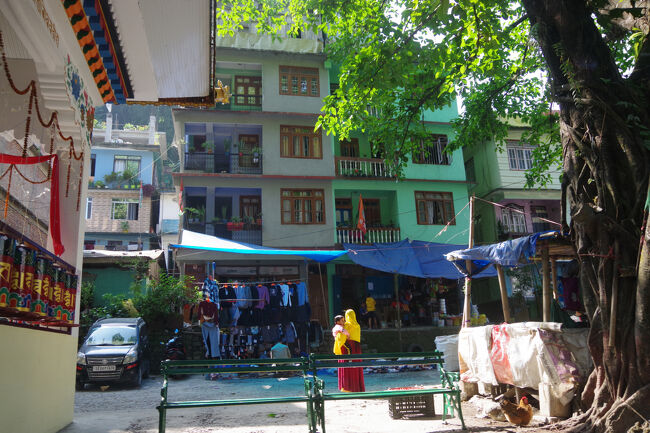 レスヒ（Reshi）という町です。建物が新しくて活気があります。<br />