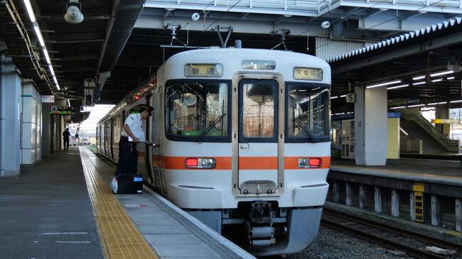 夜行バスは５時半に豊橋駅前に到着。<br />食料と飲料水をコンビニで仕入れて、JR飯田線の６時発の普通列車・天竜峡行に乗ります。<br />何しろ今日まわる秘境駅はほとんどが無人地帯にある駅、当然お店も自動販売機も期待できないので、食料や飲料水の準備は必須です。