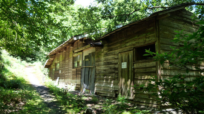駅周辺も歩いてみます。<br />駅から少し下ったところに、製茶工場の廃屋が残っていました。<br />かつてはここで多くの人が働いていたのでしょう。