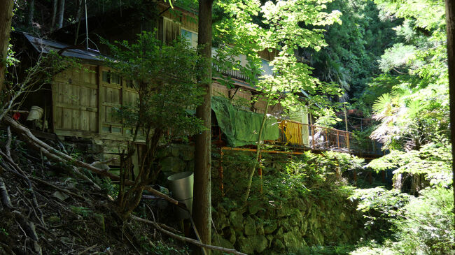 小和田駅から歩いて１５分ほどのところに民家が１軒。<br />小和田駅の最後の日常利用者はこの家に住む老夫婦、あとはこの家に郵便物を届ける郵便屋さんだけでした（小和田駅には道路がなく、飯田線以外アクセスできないため）<br />その後ご主人が亡くなり、奥さんは静岡市のお子さんのところに引き取られたそうで、現在は無人。<br />これで小和田駅近辺は無人地帯になったのでした。