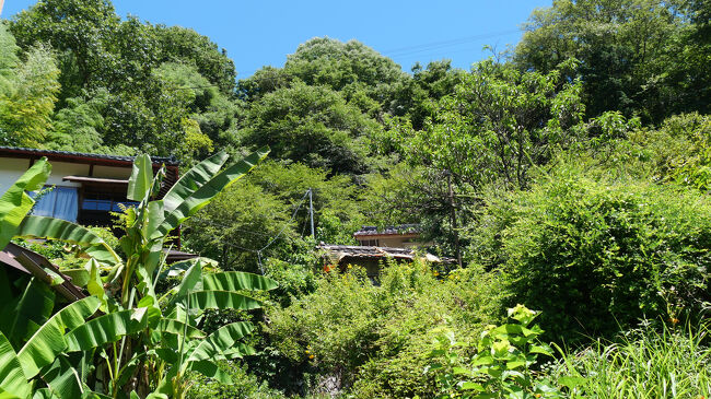 この駅の裏手には２軒の家屋がありました。<br />１つの世帯なのか、２つの世帯なのかは不明でしたが、今も人は住んでいるようでした。<br /><br />駅ノートを見ると、近くに天竜峡大橋があり、天竜峡散策でこの駅にやってきた人が多そうでした。<br />この駅の下にも天竜川が流れており、天竜峡の一部になっているようです。