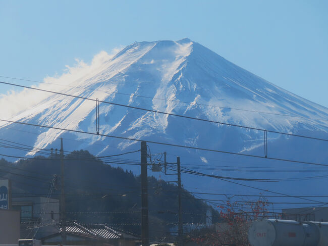 逆光方角なのでなかなか撮りにくかった。あとでたっぷり拝めるのに、一瞬でもチャンスが来ればと思ってカメラ持ち続けてしまいます。
