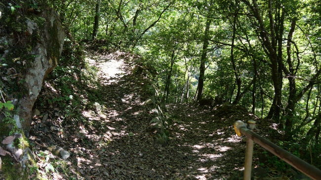 この駅からは山道のような道しかありません。<br />この山道を３０分ほど登っていくと、小学校もある小集落があります。<br />ただ、険しい山道なので、その集落の人で田本駅を利用している人はいるのでしょうか。