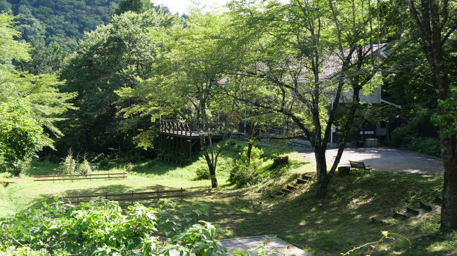 かつてここには、「ジジ王国　山のレストラン」という飼育している動物や自然の食材を使ったレストランがあり、金野駅の利用者もこのレストランの利用者だけでした。<br /><br />そのレストランもコロナ禍のさなかに廃業してしまい、現在はキャンプ場になっていました。