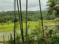 Ranwali Spice Garden へ。オイルと歯磨き粉を購入した。
Amazonでも同じような製品が購入できる。