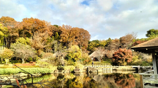 馬場花木園は紅葉が<br /><br />池の周り。