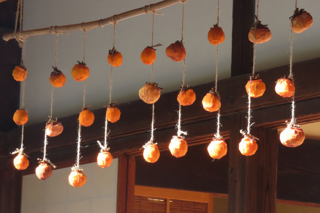 干し柿　古民家で天日干し　<br /><br />吊るし方は縦吊り。