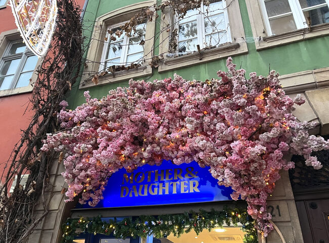 可愛い、キレイの連続です