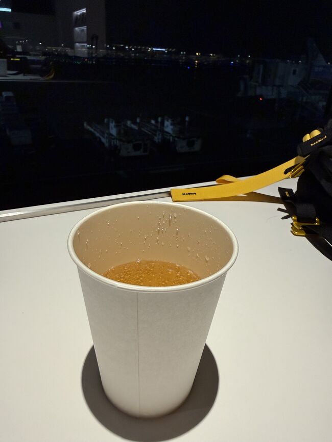 のどが渇いたのでジンジャーにしました。