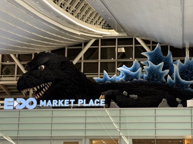 これをどうしても見たくて、スーツケースも小さめにしました。<br />預け荷物受け取りの時間確保ももったいないからです。