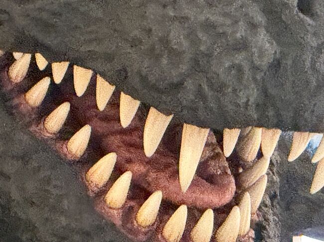 鋭い牙がいい感じです。