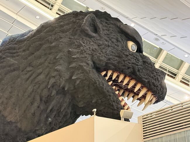 反り残しの髭のような棘が気になります。<br />確か羽田エアポートガーデンも開業してすぐに見学できました。<br />まだ多数の胡蝶蘭が飾ってあったのを撮影した旅行記が残っています。<br />では、いよいよ帰宅です。