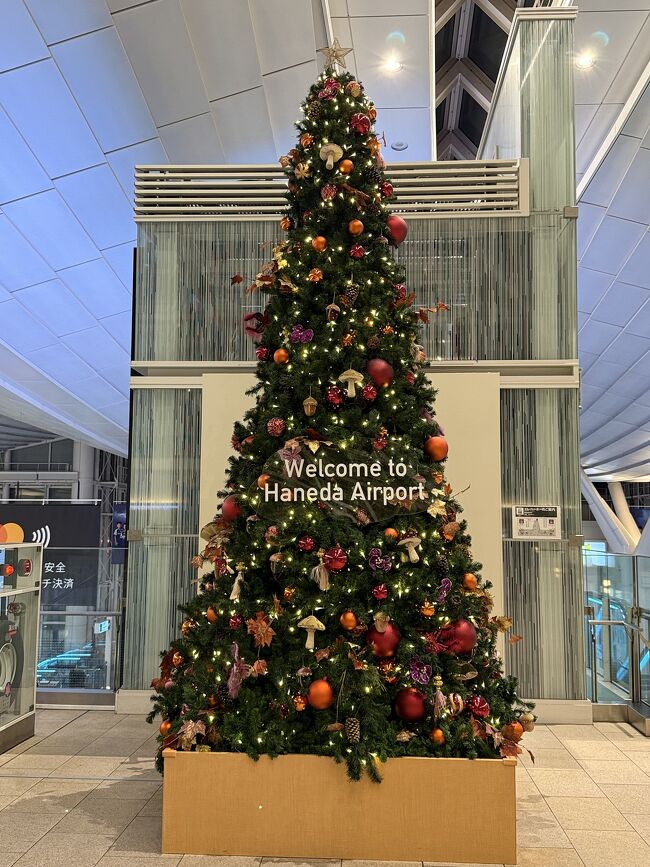エレベーターの前にもツリーが。<br /><br />土曜日で忘年会の最盛期だったのか、<br />帰りの電車はどこもいっぱいで明るい会話のグループが多かったです。<br />自分はなんとか座って爆睡でした。