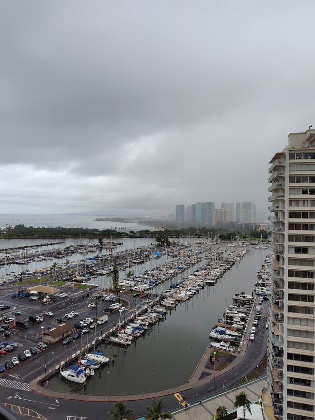 しばらく経つと、やはり（泣）