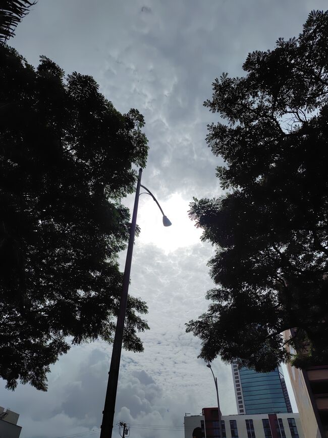 でも、今日は頑張ってハレイワへ<br />ハレイワは山と山の間の平地<br />雲は流れていて、降ってもそんなには！と