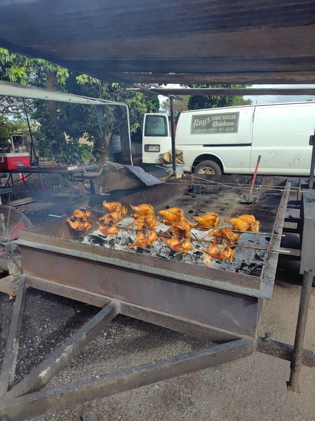 フリフリ・チキン