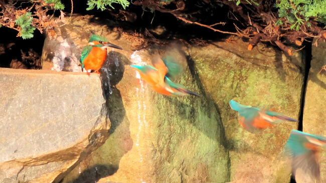 連続写真で<br /><br />